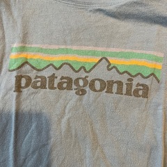 Patagonia Tシャツ　レディースの画像