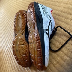 バトミントンシューズの画像