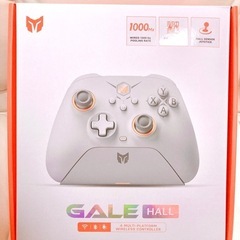 GALEHALL BIGBIGWONの画像