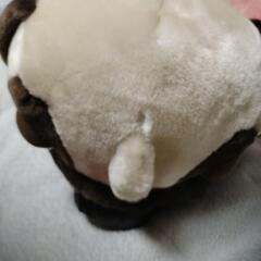 THE DOG パグ ぬいぐるみ 犬の画像