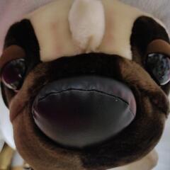 THE DOG パグ ぬいぐるみ 犬の画像