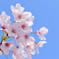 ボランティア（無料）の家庭教師を行います。教科は英語です。