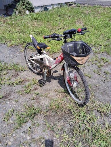 ちゃんマコ【宮城県内受け渡し限定】子供用自転車　22インチ（サビ傷あり） 店舗受取限定】幼児車 BMx コディ キッズ自転車 16インチ