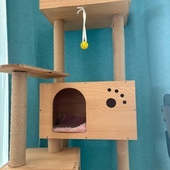猫ちゃんのタワーの画像