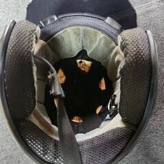 アライのszヘルメットの画像
