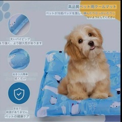新品未使用　ペット用　冷却マット　クールマット　熱中症対策　冷感マット　の画像