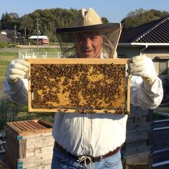 Jim's Honeyの画像