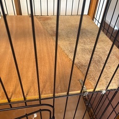 ペットゲージ　猫　キャット　犬　現状渡し　訳ありの画像