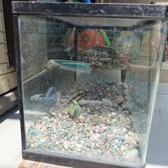 水槽の画像