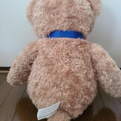 テディベア　ぬいぐるみ　40cmの画像