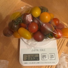 朝取れ🥒と🫑と🍆と傷物🍅の画像