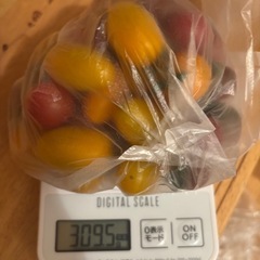 朝取れ🥒と🍆と傷物🍅の画像