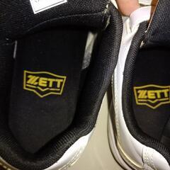 トレーニングシューズ27.0の画像