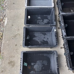 メダカ 飼育容器 水槽用品 熱帯魚の画像