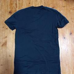 メンズ Tシャツ ドルガバ Мサイズの画像