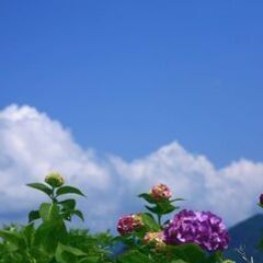 延岡☆健康ウォークライフ