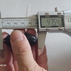 国産オオクワガタ能勢ＹG成虫ペア⑦の画像