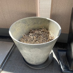 植木鉢の画像