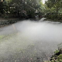 期間限定！星溪園ガーデンカフェ　アルバイトの画像
