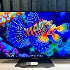 2020年製 50V型 4Kチューナー搭載 シャープ AQUOS 4K HDR Android TV 4T-C50BL1 液晶テレビ 地デジ BS YouTube Netflix PrimeVideo◎の画像