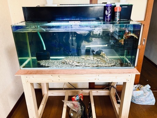 お取引中です。120cmレグラス前面湾曲水槽セット　熱帯魚