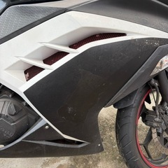 Ninja  250  EX250   ABSモデルの画像