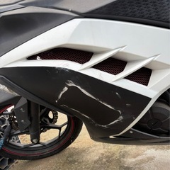 Ninja  250  EX250   ABSモデルの画像