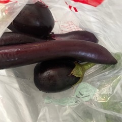 野菜 おすそ分けの画像