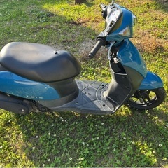 SUZUKIの画像