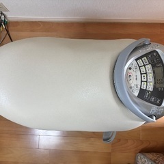Panasonic JOBA EU-JA50 ジョーバの画像