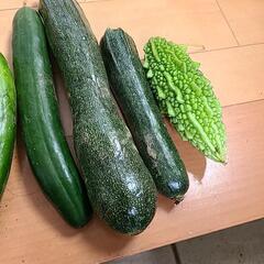 無農薬野菜の画像