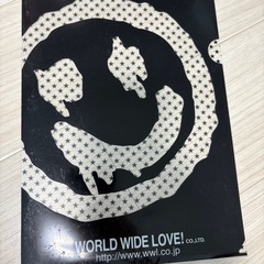 貴重クリアファイルの画像