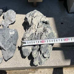 龍王石　アクアリウムの画像