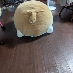 柴犬デカぬいぐるみの画像