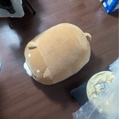 柴犬デカぬいぐるみの画像