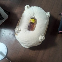 柴犬デカぬいぐるみの画像