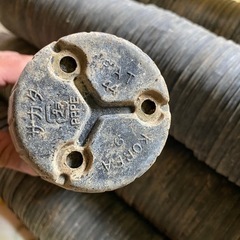 育苗ポット　早い物勝ちの画像