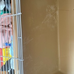小動物用ゲージの画像