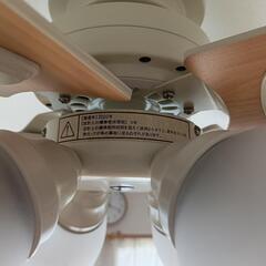 照明　ファン付きの画像