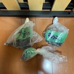 (画像追加)アンティーク風アイアン2段ベッドの画像