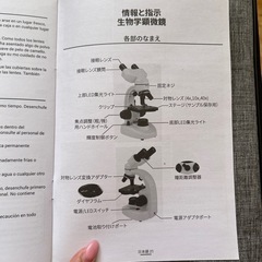 顕微鏡の画像