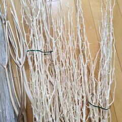 ドライ花材　ミツマタ（三又）　パンリード他　等の画像