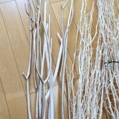 ドライ花材　ミツマタ（三又）　パンリード他　等の画像