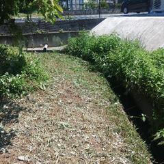 草刈りします。