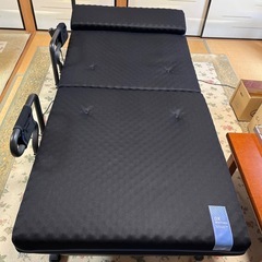 アテックス収納式電動リクライニングベッド （Wファンクッション）AX-BE639の画像