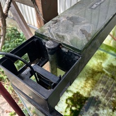 水槽の画像