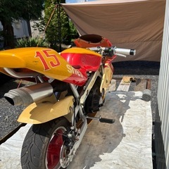 ポケバイ　の画像