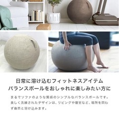 バランスボール 65cm カバー付き ファブリック素材 アンチバースト仕様 椅子 シーティングボール 持ち手 体幹トレーニング ストレッチ オフィスチェア ダイエット おしゃれ WMFITNESS
の画像