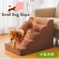 ワンちゃん階段小型犬の画像