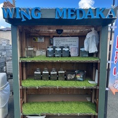 メダカ無人販売の画像